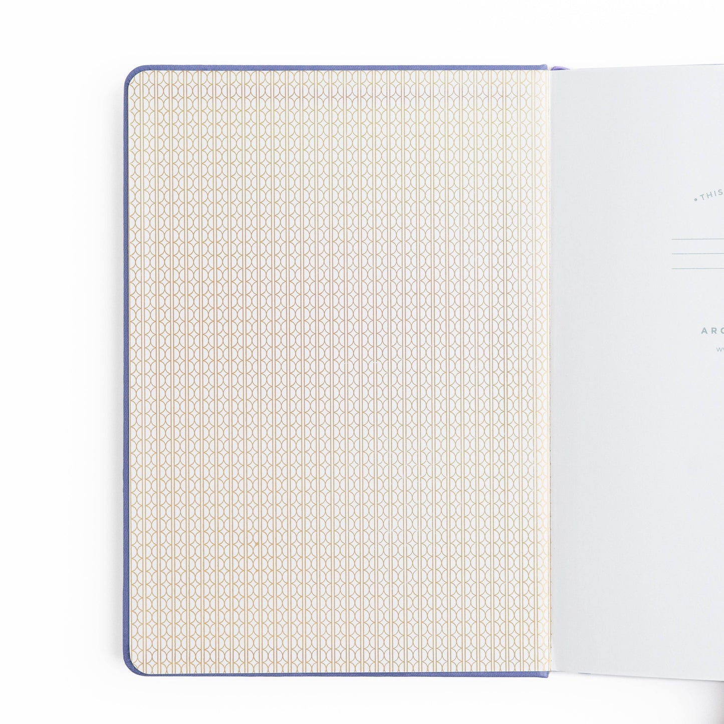 Archer and Olive - Dragon Spire Notebook