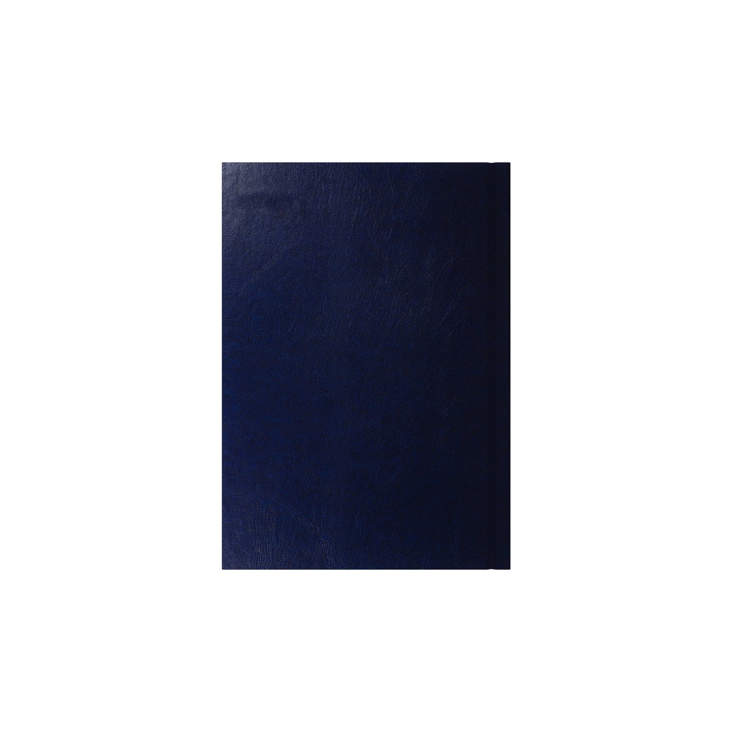 Essential - A5 Day-to-Page Diary with Appointments - 2026 Calendar Year Planner